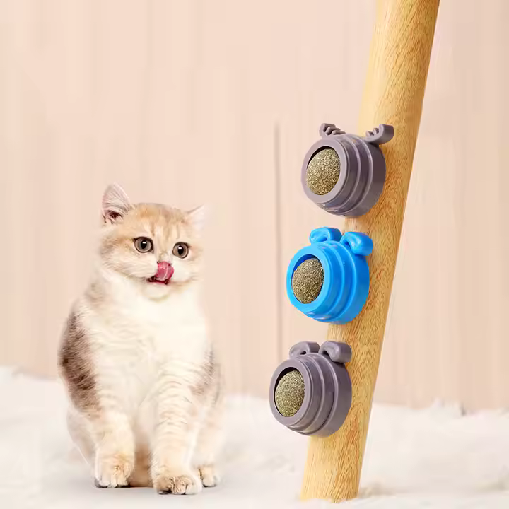 Roterande Tandrensande Kattmyntaboll